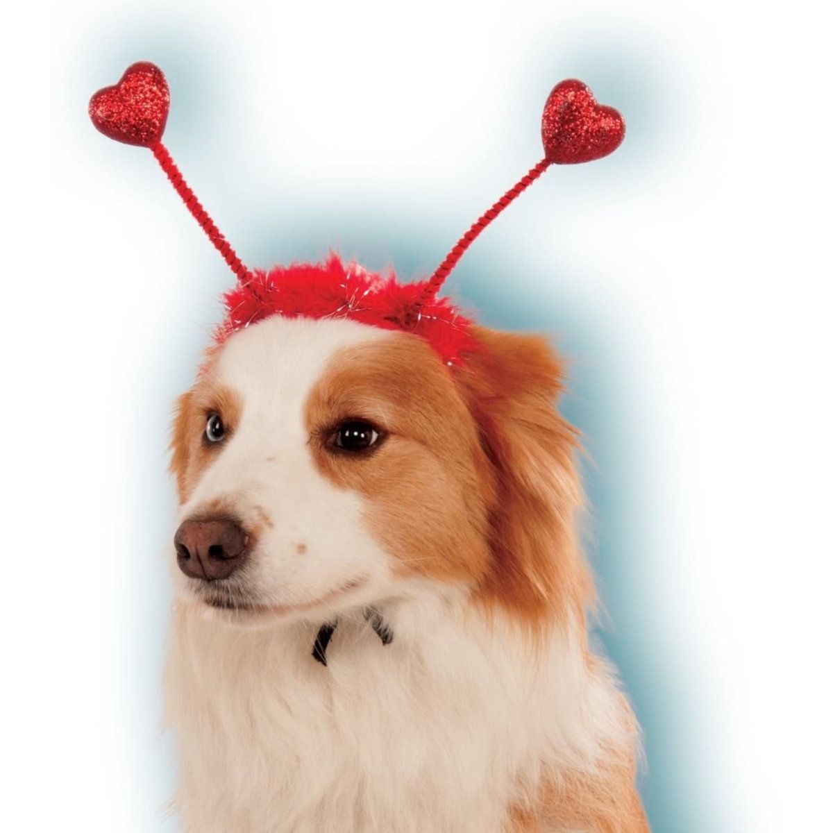 Pet Red Heart Boppers - worldclasscostumes