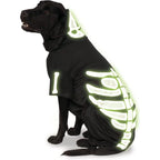 Rubie's Costume Co Glow-in-The-Dark Skeleton Hoodie Pet Costume - worldclasscostumes