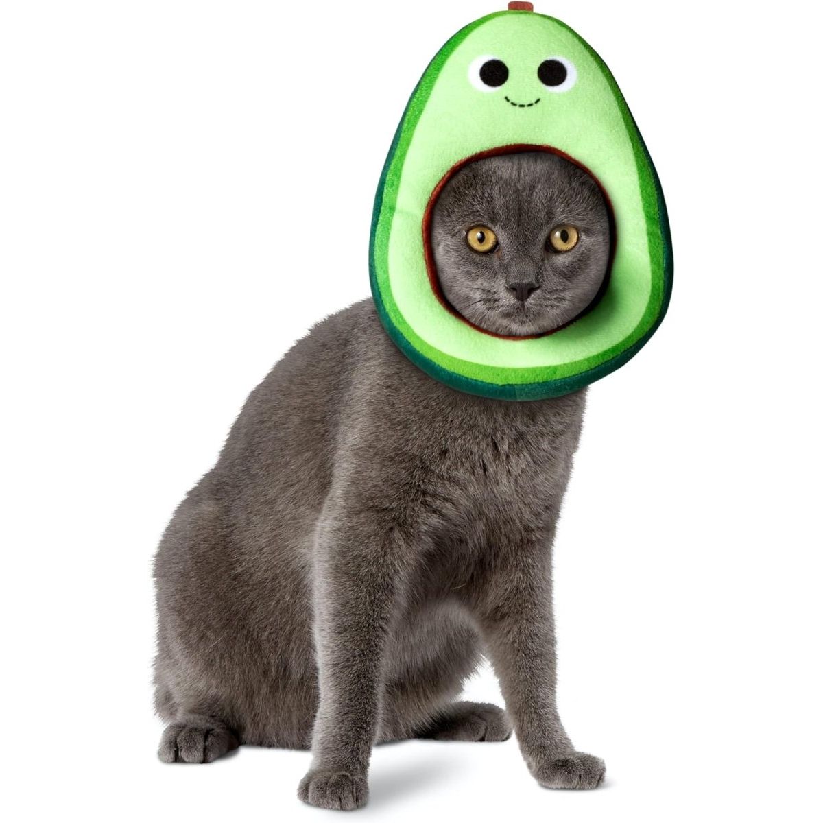 Rubie's Yummy World Avocado Pet Costume Face Headpiece - worldclasscostumes