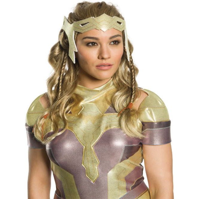 Secret Wishes Adult Hippolyta Wig - worldclasscostumes